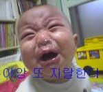 흔한 반도의 중2들의 꿈