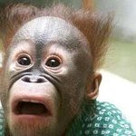 ★★★★★정말 이해안돼는 요즘 청소년들의 행동들★★★★★★