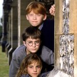 해리포터 보고 간식으로 <b>에그</b>타르트 먹었어요