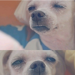 ★<b>xxx</b>로다닌에피소드ㅠㅠ★