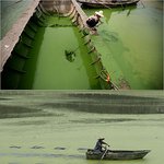 일본과 중국의 특출난 부분비교.(백지아님)