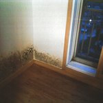 우리집 좀 봐보세요...분노합니다.(약간 혐오스러울수 있습니다.)