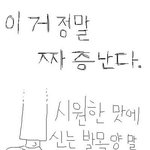 짜증나는 발목<b>양말</b>공감만화