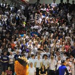 사진잇음!!▶▶▶▶미국에선멀하나