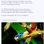 열대우림의 희귀 <b>동물</b>들[수정]