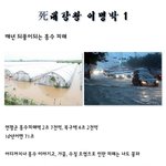 4<b>대강</b> 제대로알고 욕하시나요??