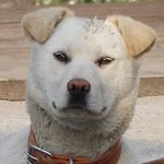 안녕하세요, 나는가<b>수다</b>의 김범수입니다.