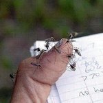 쒯...발 <b>정중앙</b>에