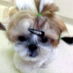 ☆★☆★☆★누가더기엽나☆★☆★☆★
