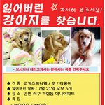 ◆◆◆인천 <b>서구</b> 사시는 분들 꼭!!읽어주세요!!! 제보 받습니다...