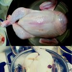 남친구를 위한 <b>복날</b> 특집 삼계 도시락♥ (사진有)