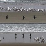 비켜랏!!!!!