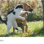 <b>펀치</b>!!