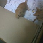 저희 <b>밑</b>에<b>집</b> 할머니께서 물건을 훔쳐가십니다.