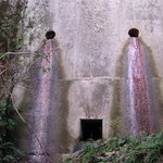 ■■■  우리가웃고지나간사진들의진실 ■■■