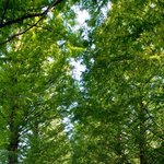 ★실화! 진짜 소름돋는 이야기들 06 (노숙자)