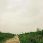 [상암동] 탁 트인 넓은 하늘이 있는 곳 하늘공원