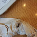 던킨도너츠 커피 내 벌레 검출