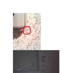 (사진有)◆◇◆◇◆◇◆현관에 이상한표시◆◇◆◇◆◇◆◇◆◇