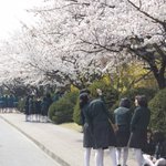 ★★(사진有)수원시에 몇안남은 여중인들의 생활★★