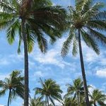 ★☆★☆★☆ 배신감 드는 <b>열매</b>들 ★☆★☆★☆