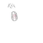 [그림 有] 여자중요<b>부위</b>
