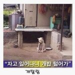 ★☆★재밌는 만화~!!★☆★6탄!!!