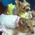 우리 <b>귀염</b>둥이들,,