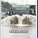 ★★★★★(사진有)대륙의 워터<b>파크</b>★★★★★★