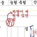 ※제발도와주세요(하나뿐인 저희 강아지를 도난 당했습니다)※