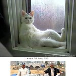 신기한<b>동물</b>! (사진有)