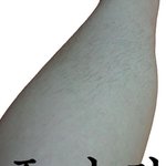 미인이 꼭 좋은것만은 아니에요ㅜㅜ