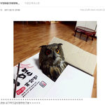 ★★★ 유머글 모음집★★★