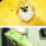 <b>개화</b>남...