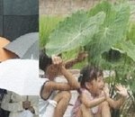 [장마철패션/장마철피부관리] 장마철 내 패션과 내 피부 만큼은 포기못해...