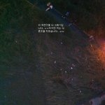 쓰레기가 솟아나는 <b>양재천</b> 치우고 왔습니다 ..