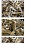 시<b>to</b> the팔 멸치먹다가 디질뻔햇습니다