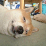 ★★★☆ 세상 살기 귀찮은 순간 <b>best</b> 15 ☆★★★