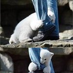 8. 곰이 사람덥치는 순간(<b>잔인</b>해요...)