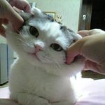 오늘은 톡<b>온</b> 옹기종기모여서<b>안</b>해?