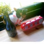 우리집 냥이 <b>식성</b>!!
