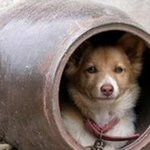 정기우의 <b>진화</b>과정