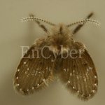 날 미치게 하는 것들(<b>푸념</b>)