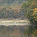 ★★★사진有)일본에 존재하는 죽음의 늪 '<b>미도</b>로 연못'★★★