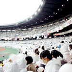 걸프분들 이분들도 상관없나여??