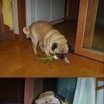 사진有 실화 미x사랑의 러x앤<b>캐쉬</b> 흡수ㄷㄷ