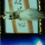 정기우네 <b>집</b> 방 = 宇宙 ( 인증<b>사진</b> 有 )