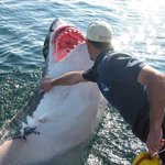 아씽 <b>밀지</b>마라궁 ㅡ_ㅡ