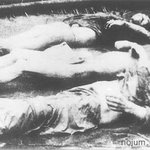 ★☆★☆스압有)한국인이라면 읽어주세요 ( ※<b>비위</b>약한분 주의※)