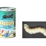 ★외국에서 가장 맛있어 보이는 사탕들 <b>top</b> 10★